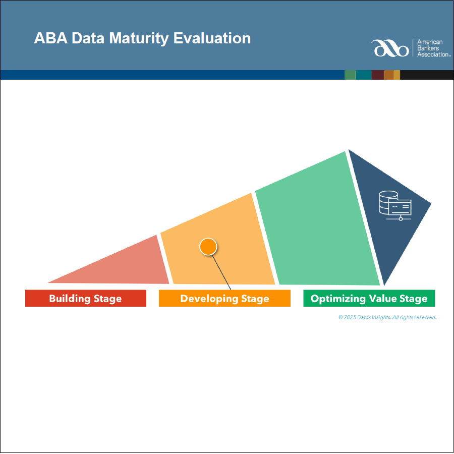 Data Maturity Evaluation 
